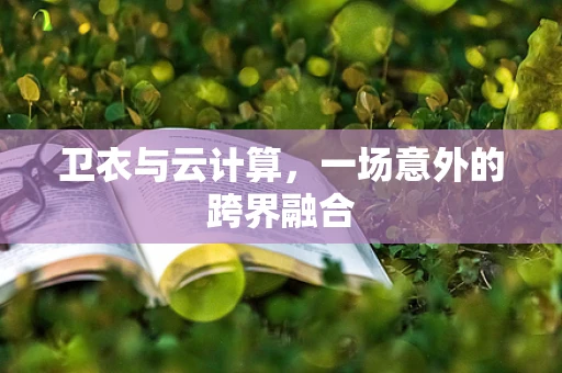 卫衣与云计算，一场意外的跨界融合