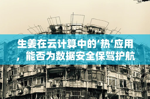 生姜在云计算中的‘热’应用，能否为数据安全保驾护航？