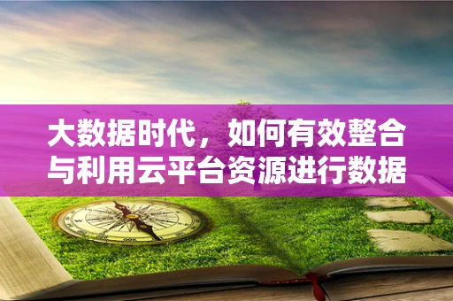 大数据时代，如何有效整合与利用云平台资源进行数据洞察？