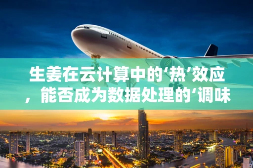 生姜在云计算中的‘热’效应，能否成为数据处理的‘调味品’？