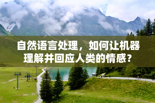 自然语言处理，如何让机器理解并回应人类的情感？