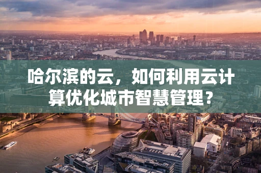 哈尔滨的云，如何利用云计算优化城市智慧管理？