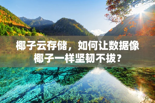 椰子云存储，如何让数据像椰子一样坚韧不拔？