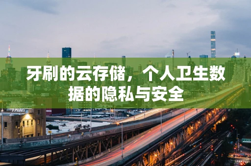 牙刷的云存储，个人卫生数据的隐私与安全