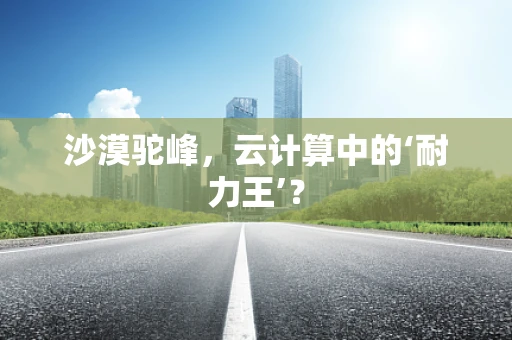 沙漠驼峰，云计算中的‘耐力王’？