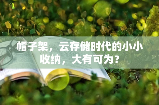 帽子架，云存储时代的小小收纳，大有可为？