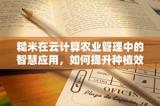 糙米在云计算农业管理中的智慧应用，如何提升种植效率与质量控制？