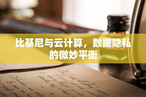 比基尼与云计算，数据隐私的微妙平衡