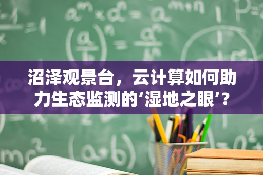 沼泽观景台，云计算如何助力生态监测的‘湿地之眼’？