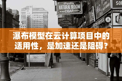 瀑布模型在云计算项目中的适用性，是加速还是阻碍？