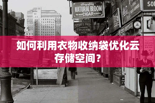 如何利用衣物收纳袋优化云存储空间？