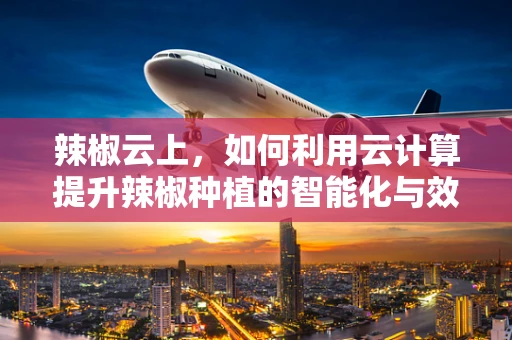 辣椒云上，如何利用云计算提升辣椒种植的智能化与效率？