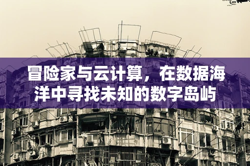 冒险家与云计算，在数据海洋中寻找未知的数字岛屿