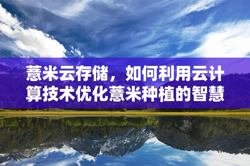 薏米云存储，如何利用云计算技术优化薏米种植的智慧决策？