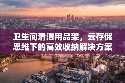 卫生间清洁用品架，云存储思维下的高效收纳解决方案？
