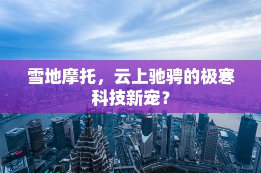 雪地摩托，云上驰骋的极寒科技新宠？