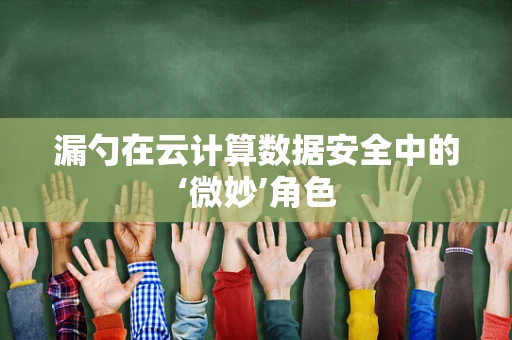 漏勺在云计算数据安全中的‘微妙’角色