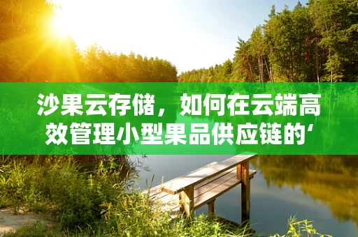 沙果云存储，如何在云端高效管理小型果品供应链的‘甜蜜负担’？