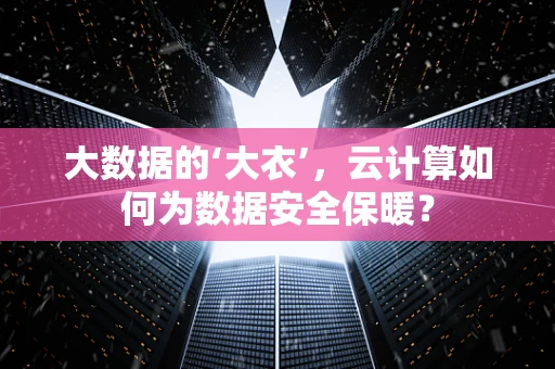 大数据的‘大衣’，云计算如何为数据安全保暖？