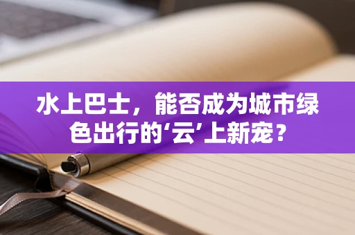 水上巴士，能否成为城市绿色出行的‘云’上新宠？