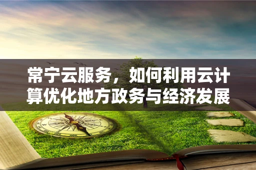 常宁云服务，如何利用云计算优化地方政务与经济发展？