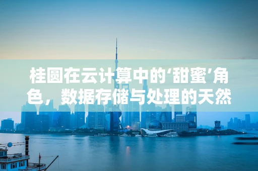 桂圆在云计算中的‘甜蜜’角色，数据存储与处理的天然比喻？