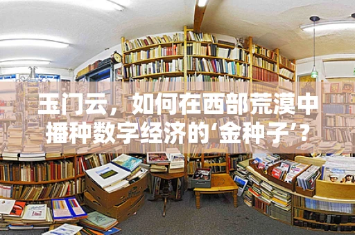 玉门云，如何在西部荒漠中播种数字经济的‘金种子’？