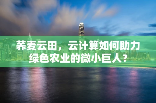荞麦云田，云计算如何助力绿色农业的微小巨人？
