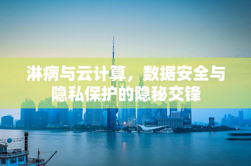 淋病与云计算，数据安全与隐私保护的隐秘交锋