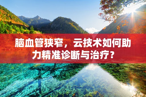 脑血管狭窄，云技术如何助力精准诊断与治疗？