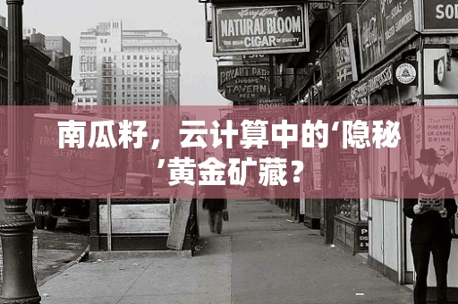 南瓜籽，云计算中的‘隐秘’黄金矿藏？