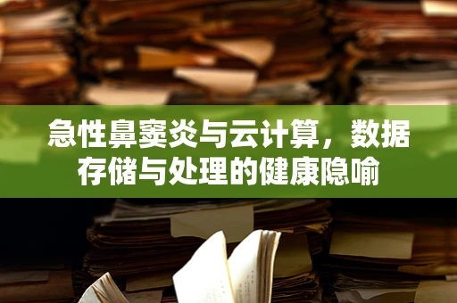 急性鼻窦炎与云计算，数据存储与处理的健康隐喻
