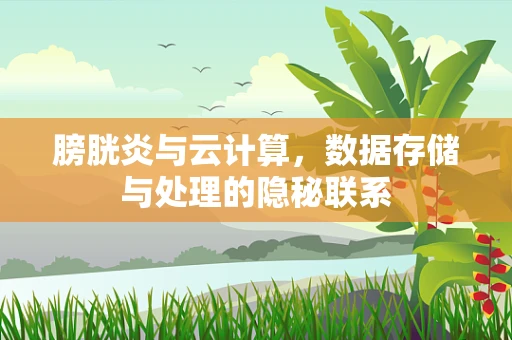 膀胱炎与云计算，数据存储与处理的隐秘联系