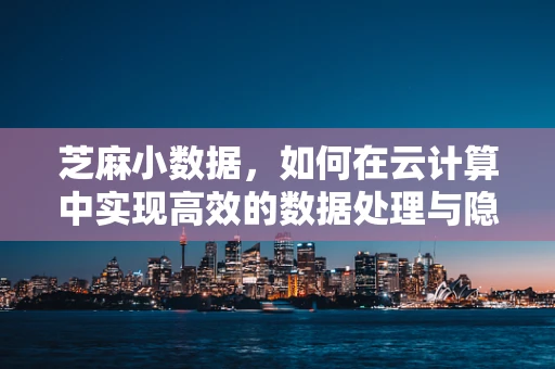 芝麻小数据，如何在云计算中实现高效的数据处理与隐私保护？