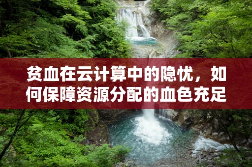贫血在云计算中的隐忧，如何保障资源分配的血色充足？