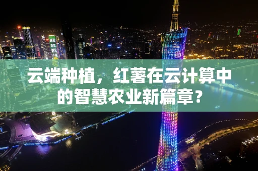 云端种植，红薯在云计算中的智慧农业新篇章？
