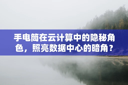 手电筒在云计算中的隐秘角色，照亮数据中心的暗角？