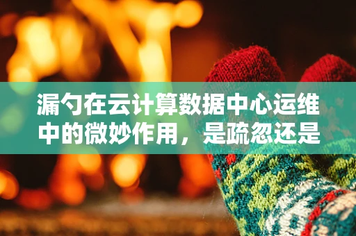 漏勺在云计算数据中心运维中的微妙作用，是疏忽还是智慧之选？