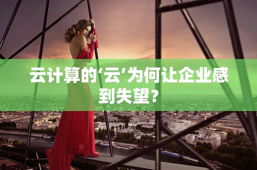 云计算的‘云’为何让企业感到失望？