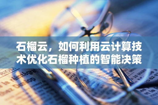 石榴云，如何利用云计算技术优化石榴种植的智能决策？