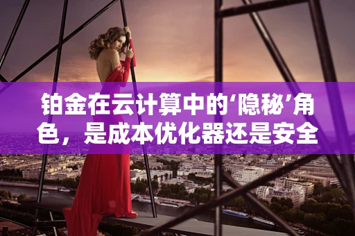铂金在云计算中的‘隐秘’角色，是成本优化器还是安全守护者？