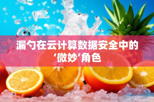 漏勺在云计算数据安全中的‘微妙’角色