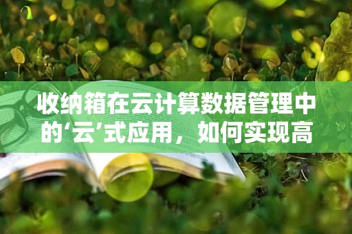 收纳箱在云计算数据管理中的‘云’式应用，如何实现高效、安全的存储与访问？