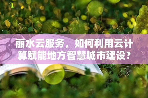 丽水云服务，如何利用云计算赋能地方智慧城市建设？