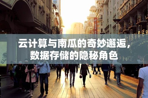 云计算与南瓜的奇妙邂逅，数据存储的隐秘角色