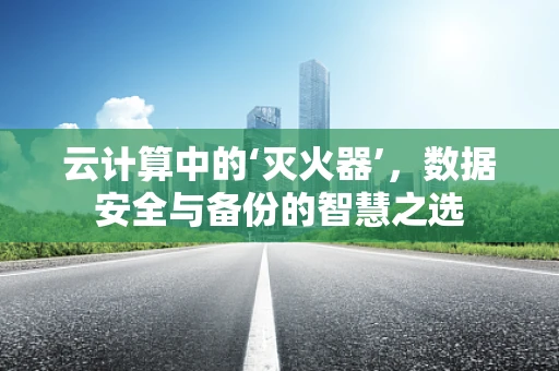 云计算中的‘灭火器’，数据安全与备份的智慧之选