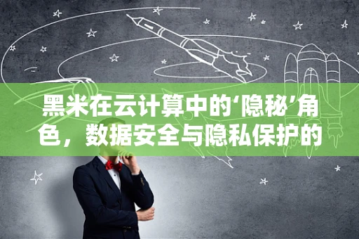 黑米在云计算中的‘隐秘’角色，数据安全与隐私保护的‘黑科技’？