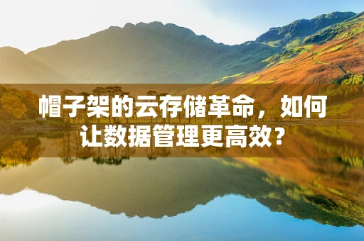 帽子架的云存储革命，如何让数据管理更高效？