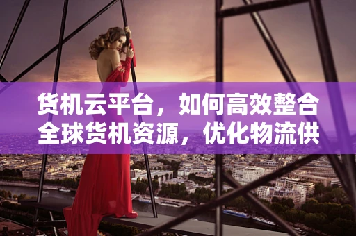 货机云平台，如何高效整合全球货机资源，优化物流供应链？