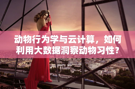 动物行为学与云计算，如何利用大数据洞察动物习性？